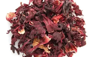 hibiscus-flower-500x500