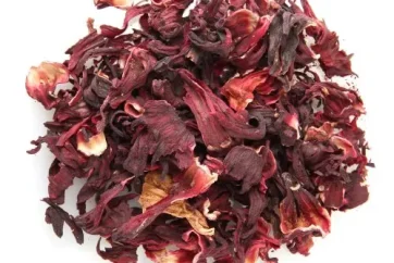 hibiscus-flower-500×500 hibiscus-flower-500x500